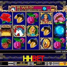 HHBET Rio de Janeiro - Bonus Terms